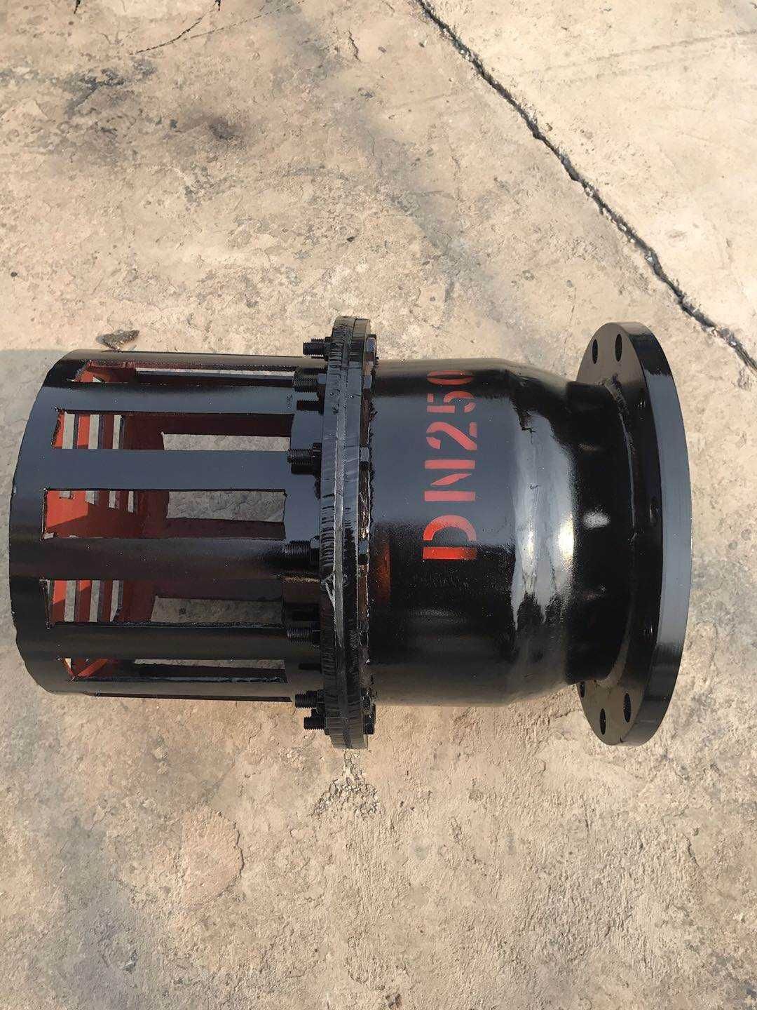 h42x10 dn250 自吸式底阀 离心泵底阀 国标铸铁法兰不锈钢底阀