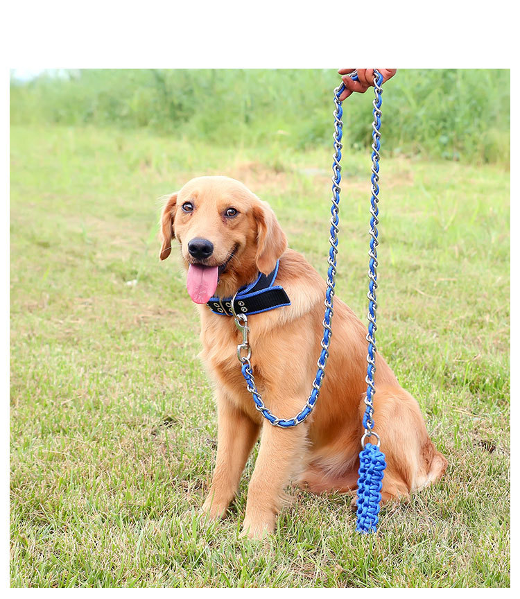 津嘉jinjia 大号防咬狗链子 大狗牵引绳中大型犬金毛萨摩耶哈士奇