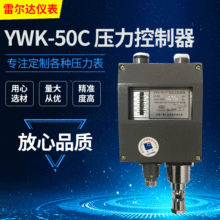 雷仪 雷尔达 压力控制器 YWK-50C 船用全银触点 防水型