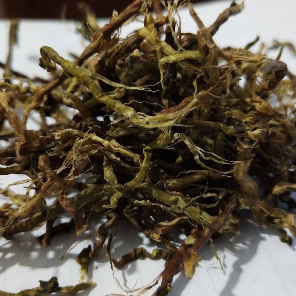 飒枫供应山蜜草茶 长寿草 山密草 山蜜草 山蜜茶新货 大货批发
