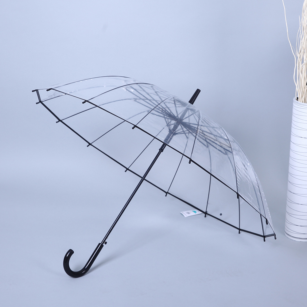 poe材质16骨自动透明雨伞加厚加粗直杆防风晴雨伞学生小清新伞