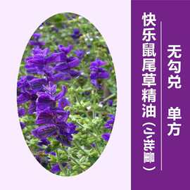 小批量精油批发香紫苏精油100毫升单方香薰精油快乐鼠尾草精油