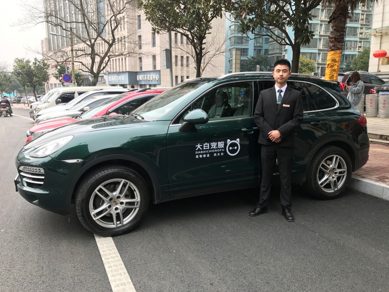 宠物接送专车惊现长沙街头,深受宠物主喜爱