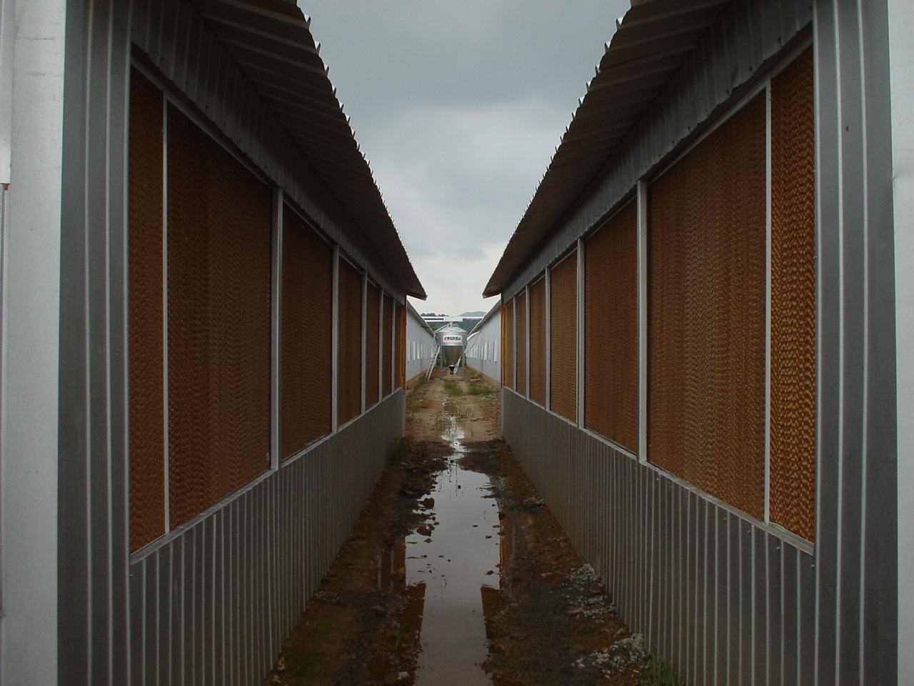 养殖降温水帘 鸡舍降温湿帘 温室大棚水帘墙 批发价格