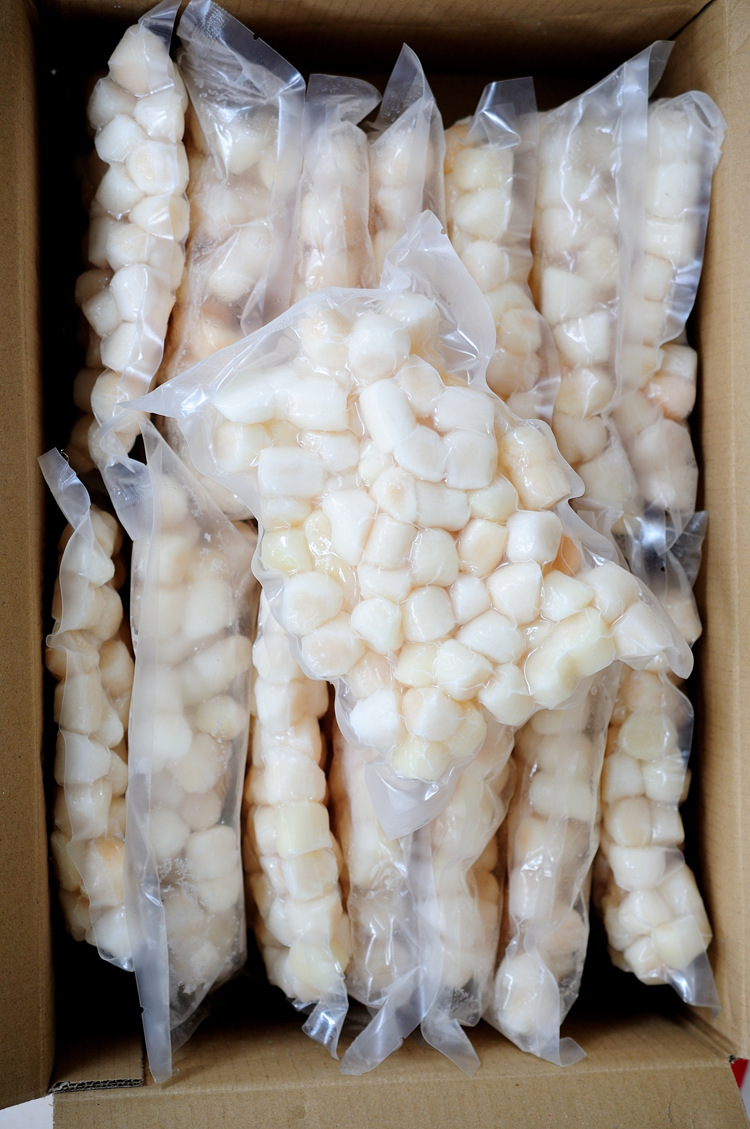 扇贝柱 夏夷贝柱 仙贝丁 扇贝丁 扇贝肉 贝肉 贝柱 餐饮海鲜食材