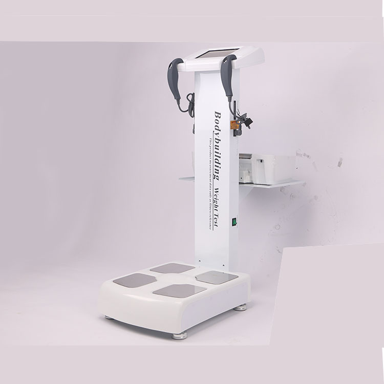 体测仪 国产体能测试仪器 私教工作室健康体脂检测