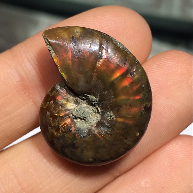 丹利水晶 马达加斯加 斑彩螺化石-阿里巴巴