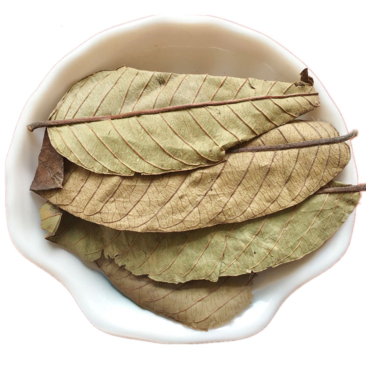 中药材 红心番石榴叶子芭乐叶茶 番石榴叶 量大从优