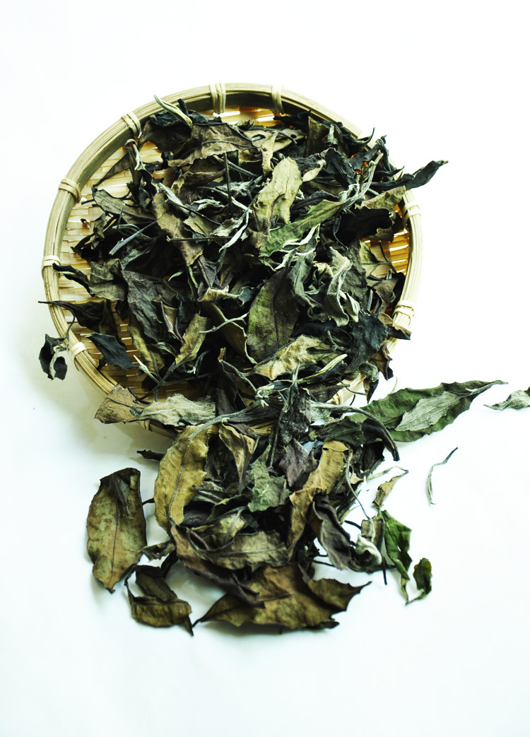 云南古树白茶 勐库大叶种白茶 普洱散茶 2018年 非月光白散料