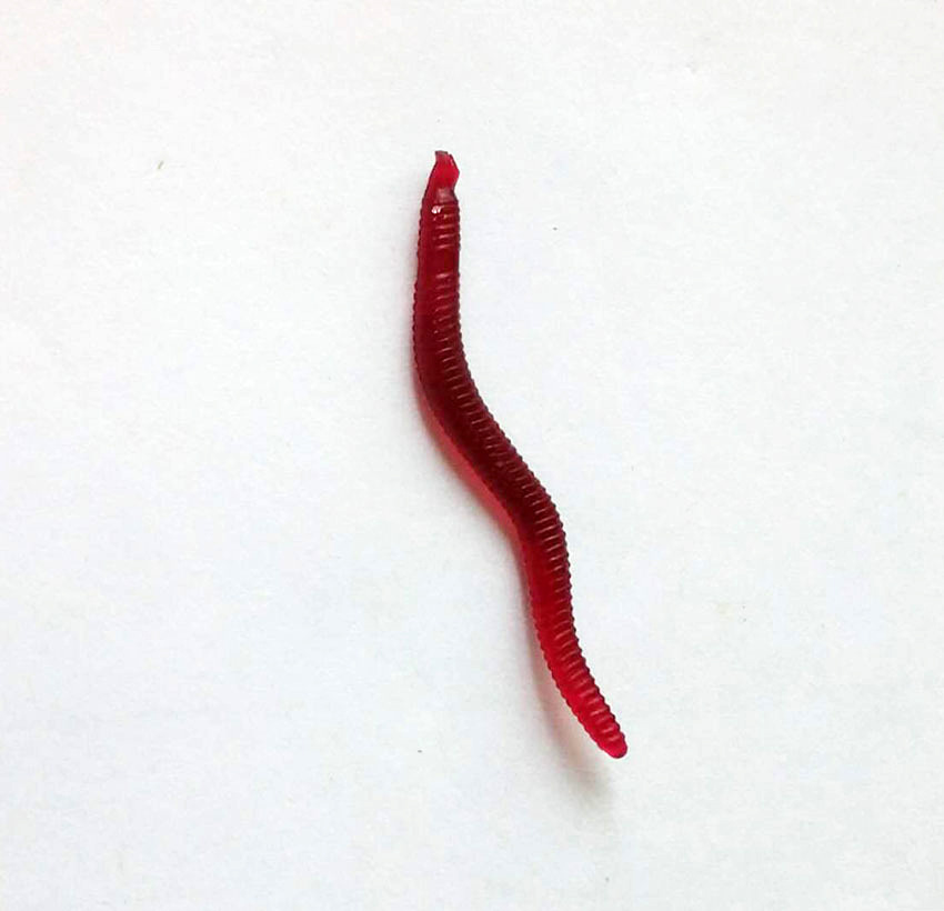 5cm 假红虫100条/包 加腥味蚯蚓拟饵 淡水通用假鱼饵