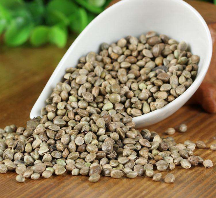 火麻仁 火麻子仁 火麻籽 大颗粒人吃的 500g克