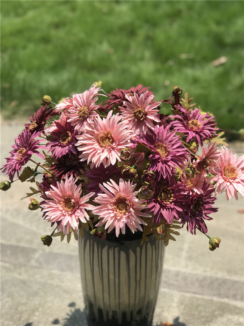 3头秋色扶郎菊 婚庆婚礼花艺家居插花配材 欧式酒店花配材非洲菊