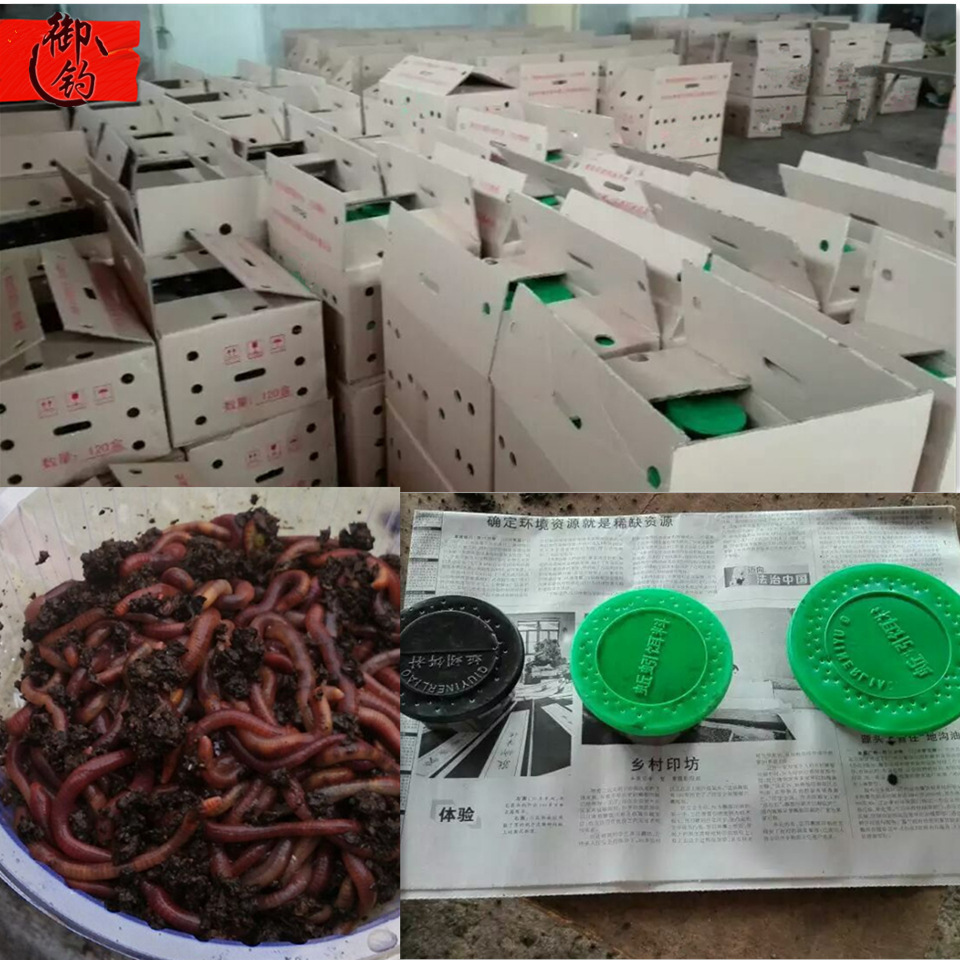 【蚯蚓种苗】-蚯蚓种苗厂家,品牌,图片,热帖-阿里巴巴