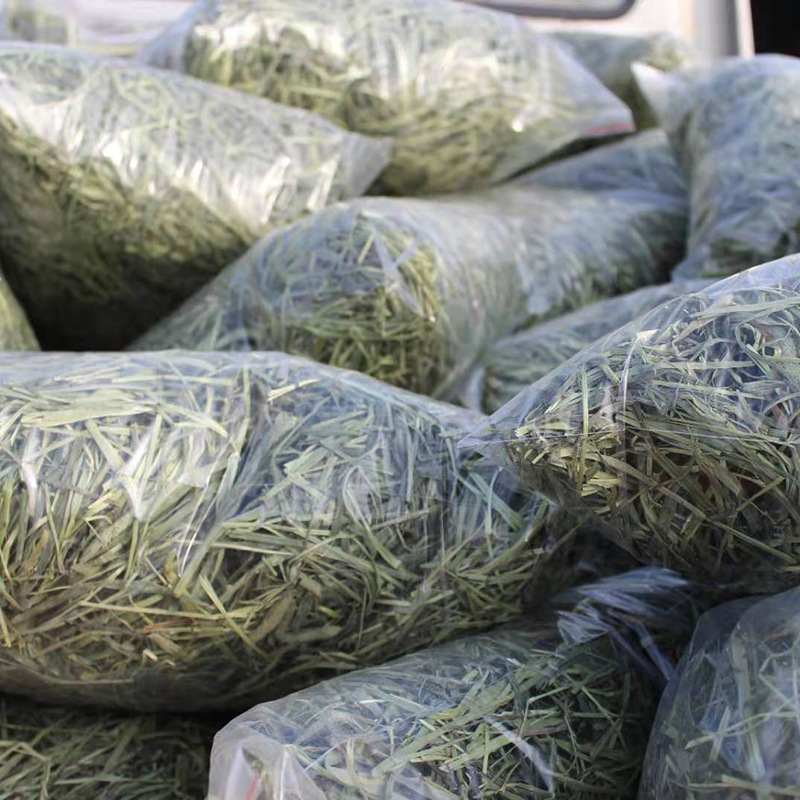 提摩西草兔子草兔粮一斤500克袋装龙猫荷兰猪豚鼠饲料梯牧草干草