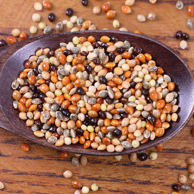 五色黍子鹦鹉小太阳鹦鹉粮食饲料玄凤中国 鹦鹉鸟食鸟粮