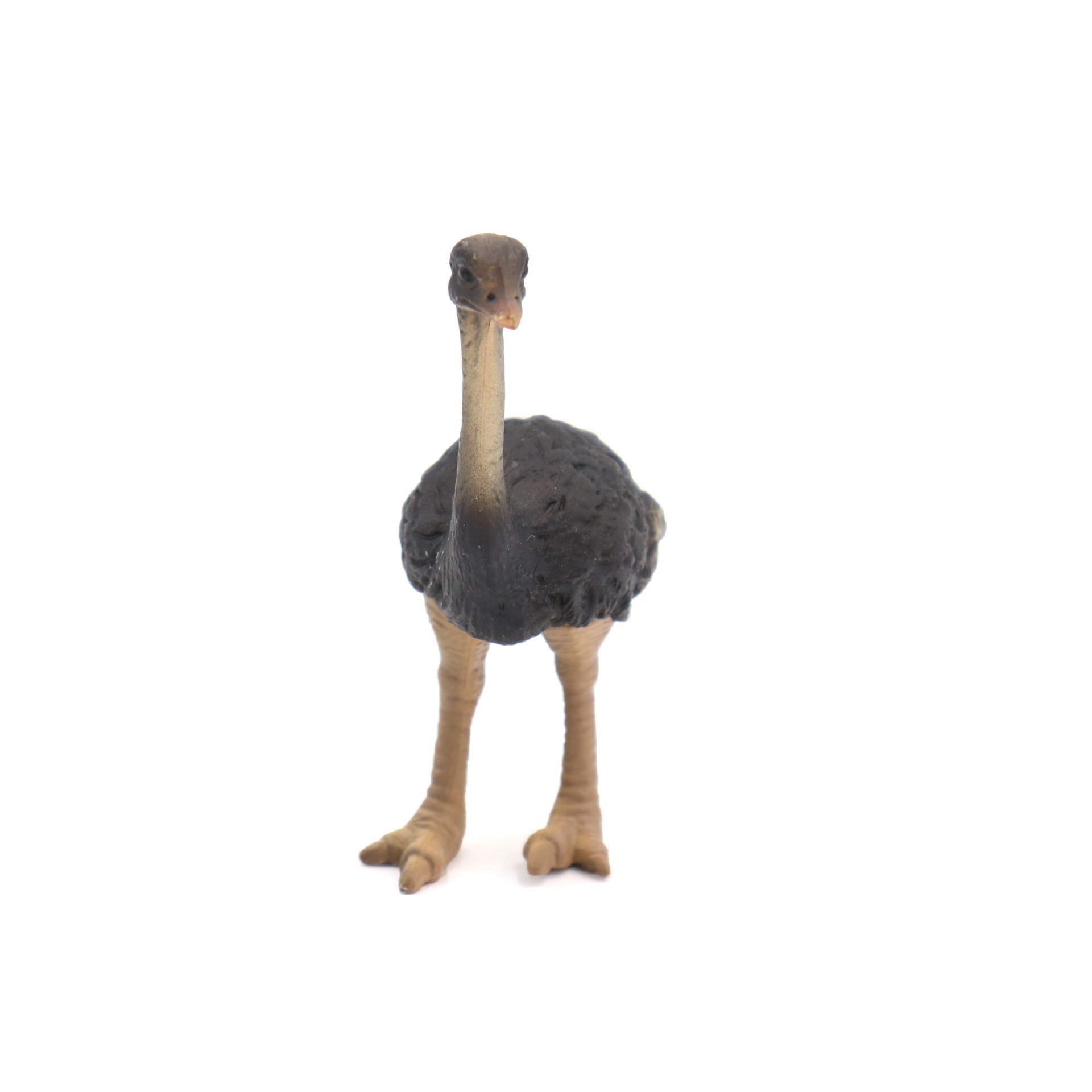 pvc仿真鸵鸟模型 静态鸟类装饰摆件 跨境动物玩具批发