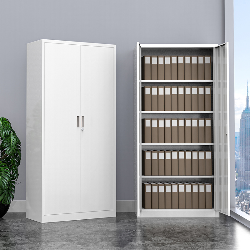 定制钢制双开门文件柜 带锁会计档案凭证柜 办公铁皮资料柜批发