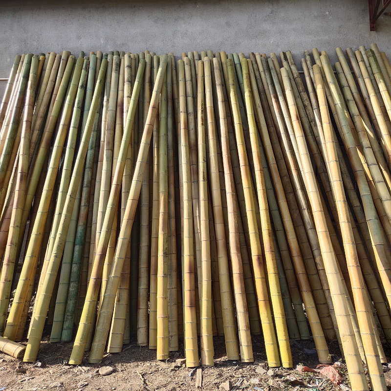 竹竿装饰小竹子搭架黄瓜豆角架菜园搭架彩旗跳舞粗细竹杆竹子隔断