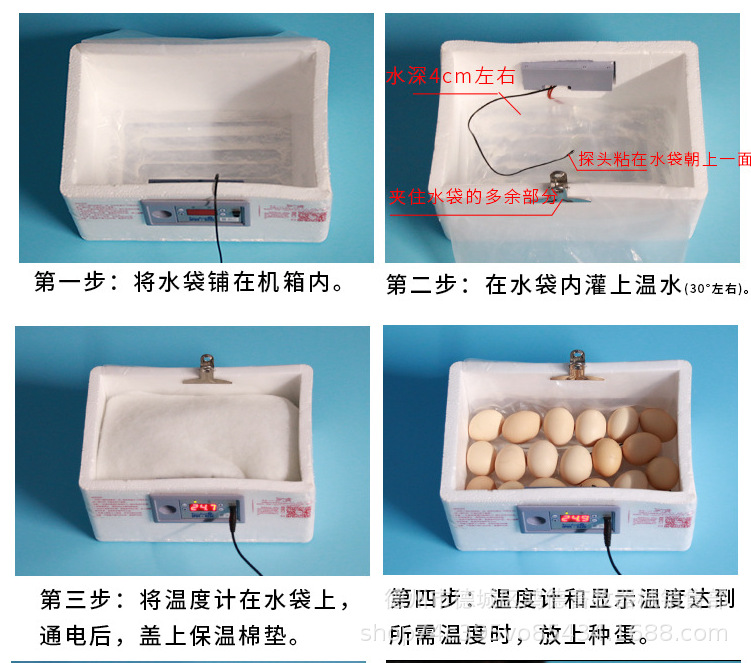 家用型小型水床孵化器小鸡孵化机鸽子鹅蛋鹌鹑蛋全自动控温孵化机