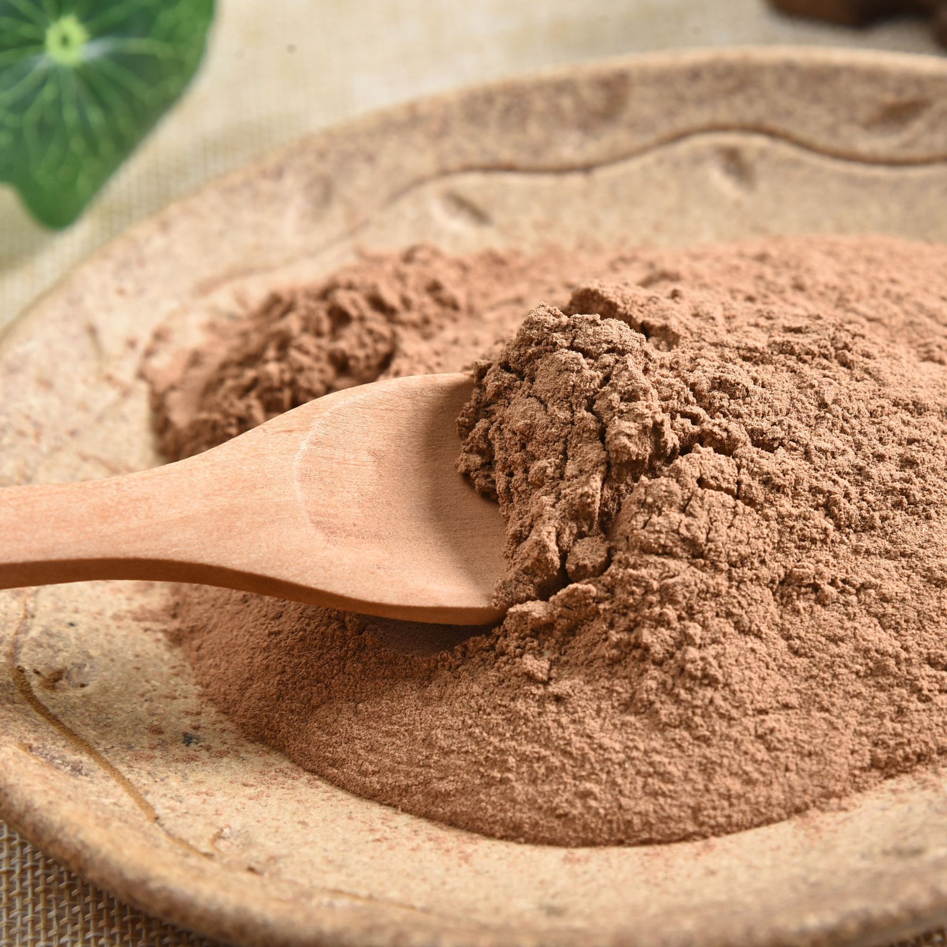 【亳州藜芦】-亳州藜芦厂家,品牌,图片,热帖-阿里巴巴