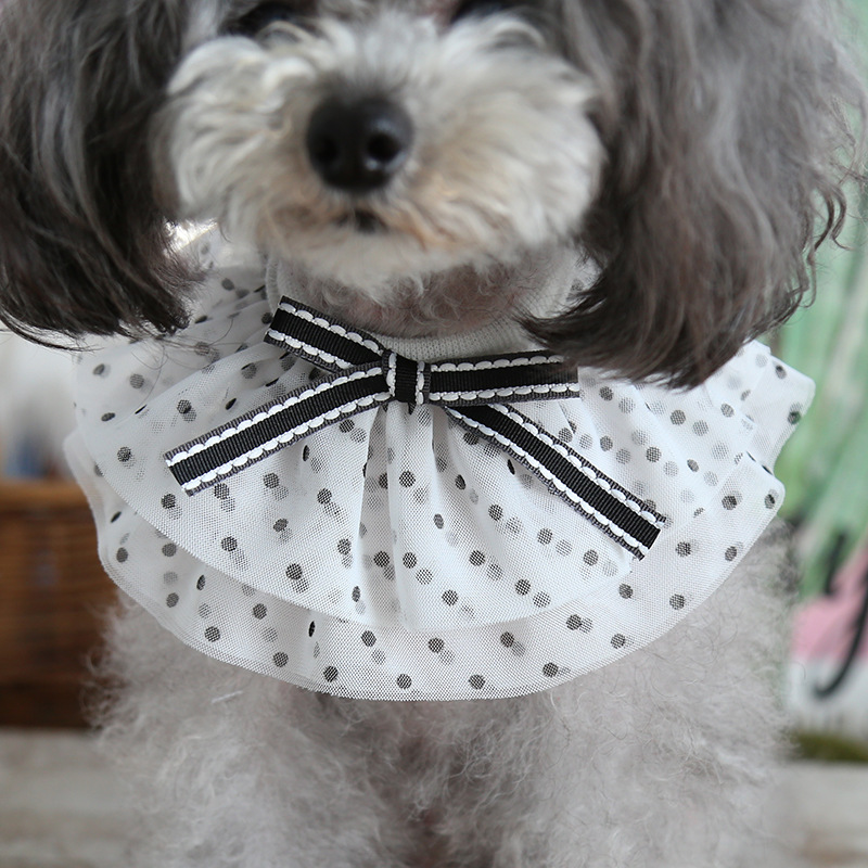 petstyle 甜美宠物围嘴 狗狗猫咪蕾丝围脖 小猫口水巾饰品装饰用