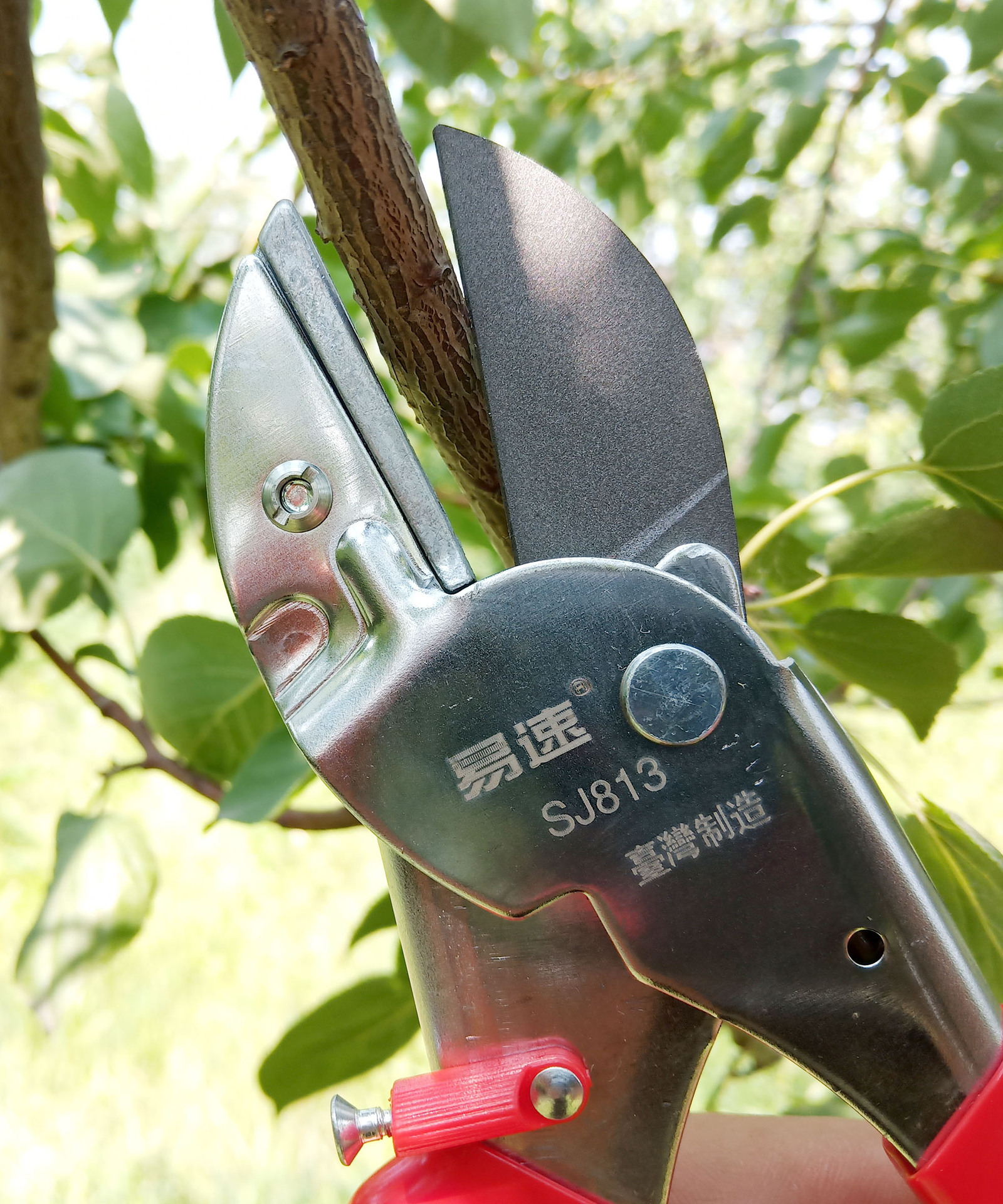 易速sj813修枝剪 果树剪刀 省力修枝剪 园林园艺剪刀剪葡萄枝剪刀