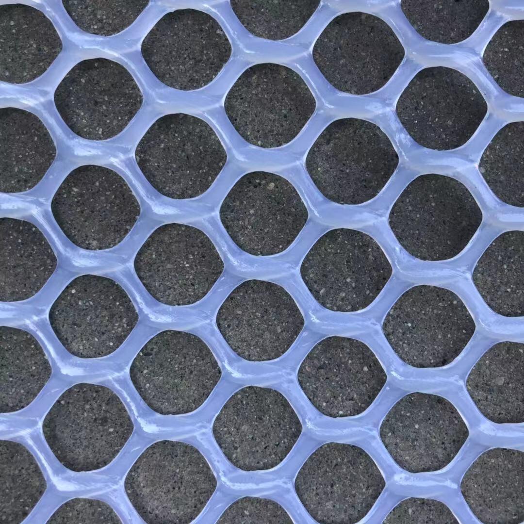 塑料平网 养鸡鹅漏粪网 家禽脚垫网 养鸭网床育雏塑料养殖网