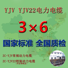 国标WDZ-YJY/YJV-3*6平方铜芯电力电缆线华新/珠江/穗星/胜宇