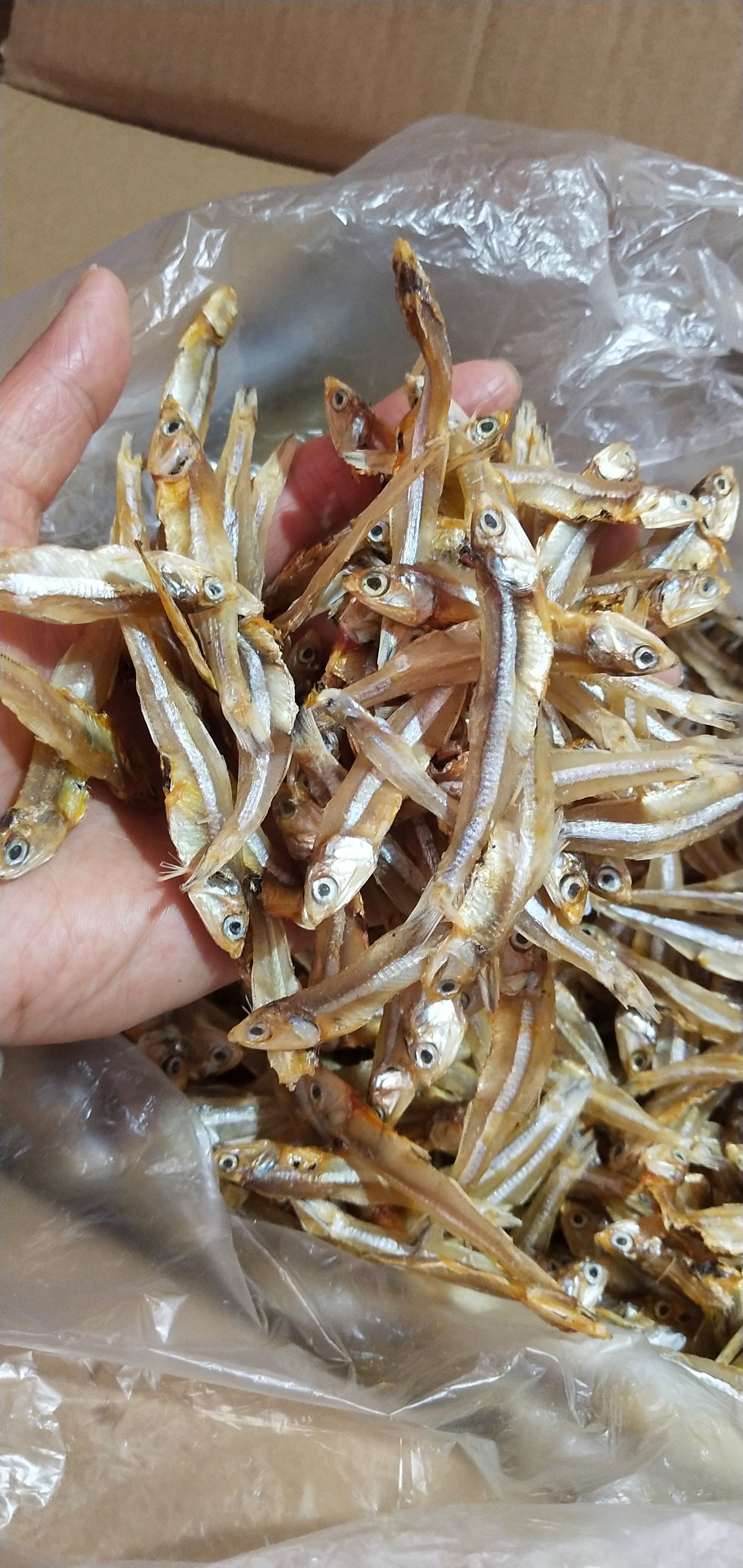 公干 银鱼 白晒公鱼 鱼干 海鱼干货 鱼仔 咸鱼