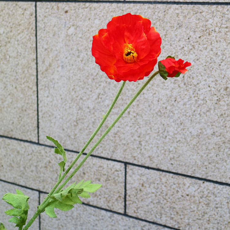 厂家批发高档 仿真 罂粟花 工程家居装饰假花 4头虞美人 仿真花