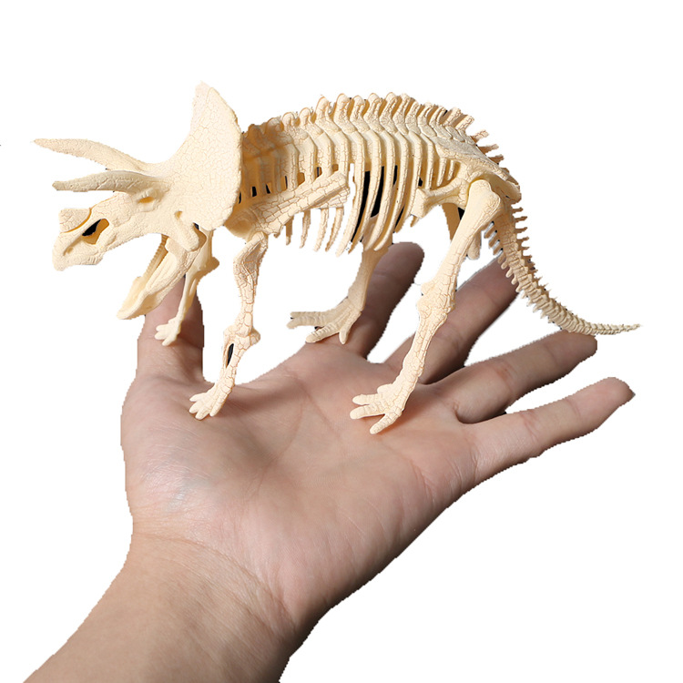 考古拼装爆裂三角龙骨架 儿童益智diy恐龙化石拼装套装科教玩具
