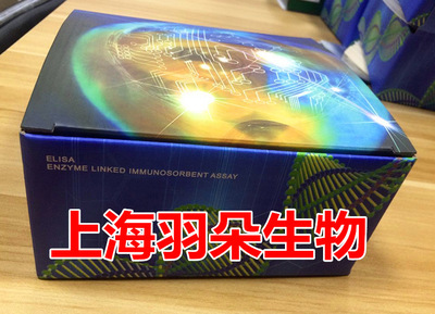 石蜡切片茜素红(alizarinreds)钙染色试剂盒