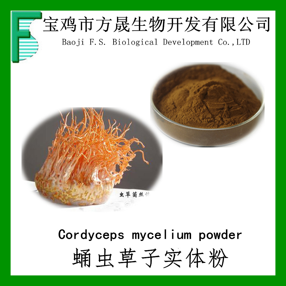 蛹虫草子实体粉99% 虫草菌丝体多糖 虫草菌丝粉 虫草子实体提取