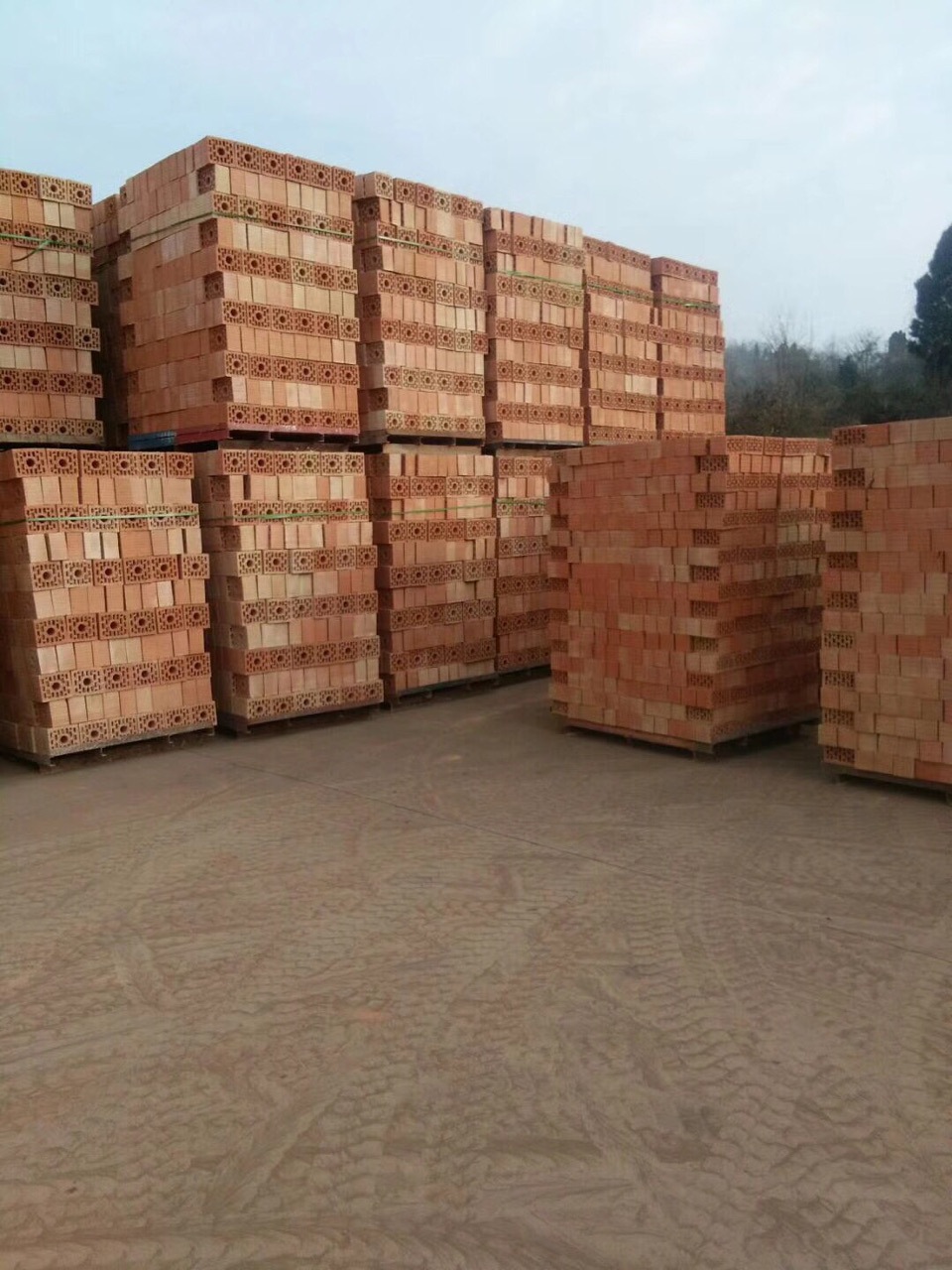 批发红砖多孔砖空心砖