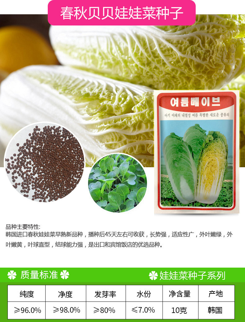 凤鸣雅世 春秋贝贝娃娃菜种子10克 四季农家蔬菜种子菜种籽批发