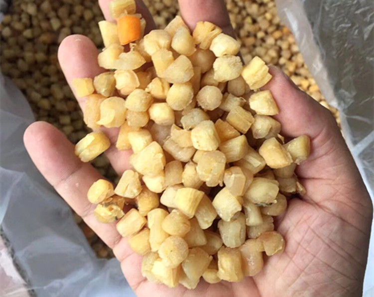 产地批发 600头瑶柱干贝 扇贝干海产品干货 一件代发 500克