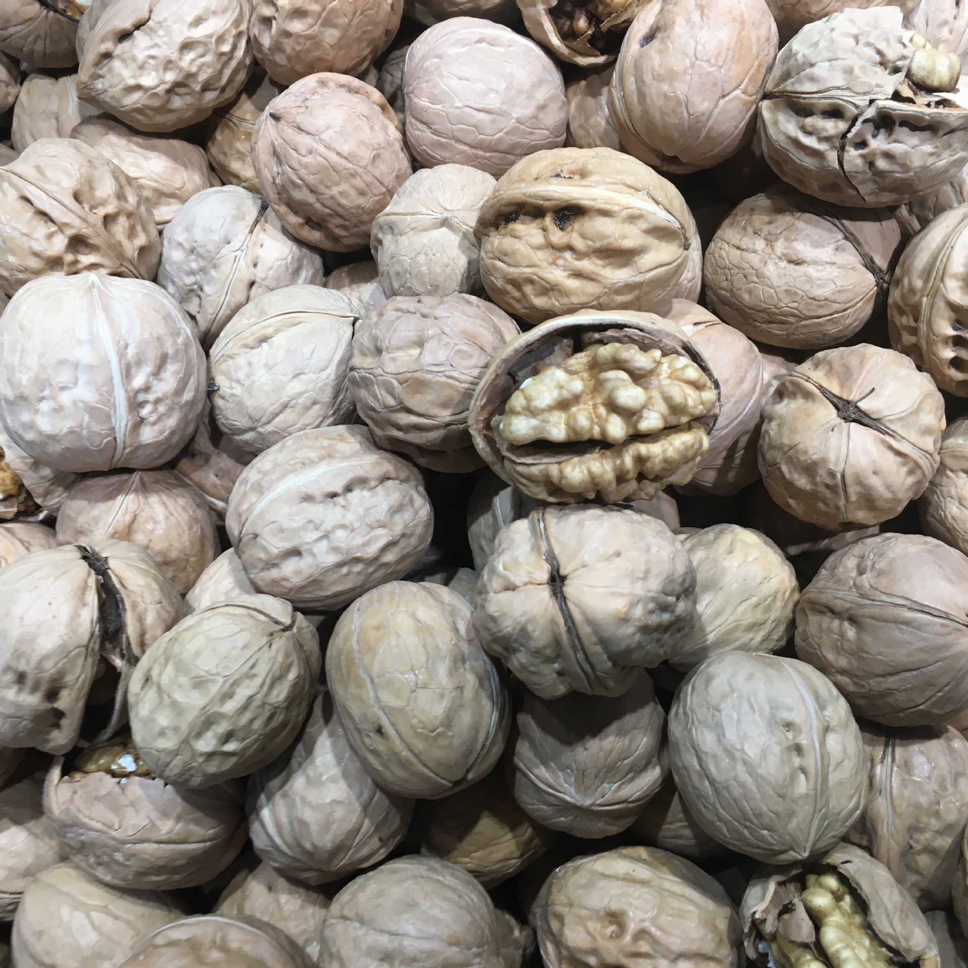 新疆薄皮核桃中果核桃量大从优满包邮新疆核桃4斤装包邮送钳子