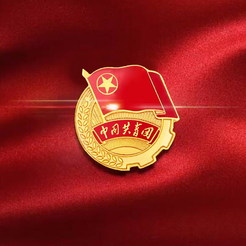 谋福党员党徽磁铁标准型党员徽章磁扣党徽为人民服务别针款团徽