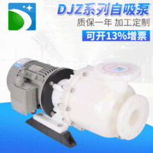 DJZ系列耐腐蚀自吸泵 电镀化工污水过滤泵 PVDF机械耐高温离心泵