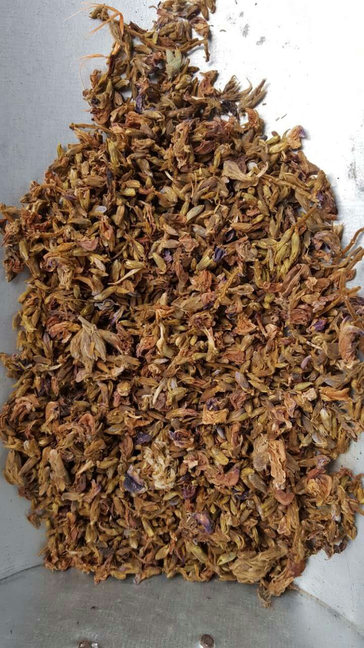 中药材 野生 葛花 应酬解酒茶 千杯不醉 正品 葛根花 可打粉