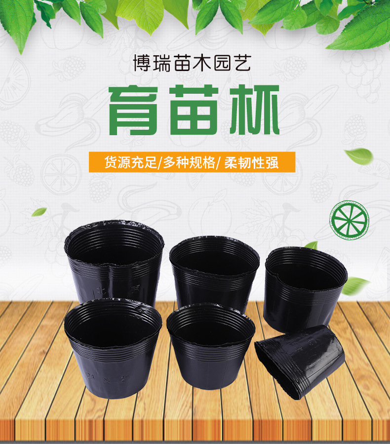 苗圃植物营养杯 塑料营养杯 黑色加厚园艺花卉营养钵厂家直销