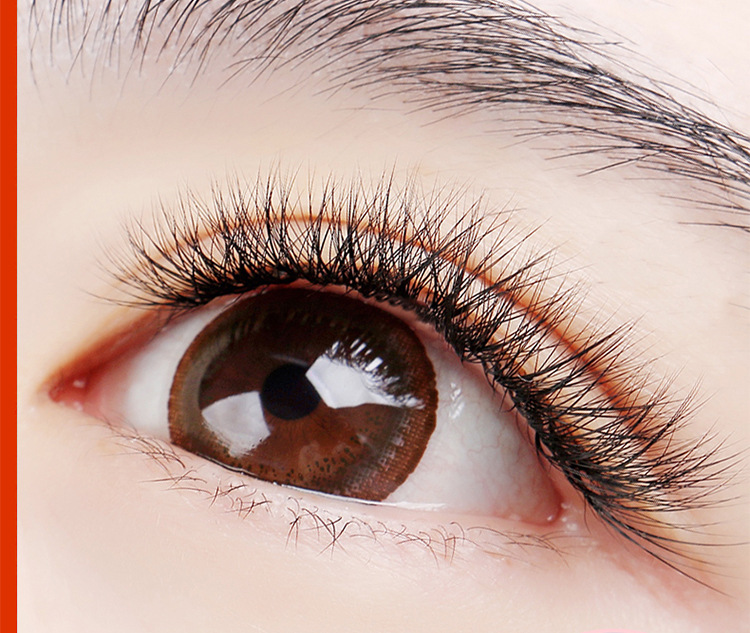 05柔软不散根鸢尾花双生花种植v毛假睫毛