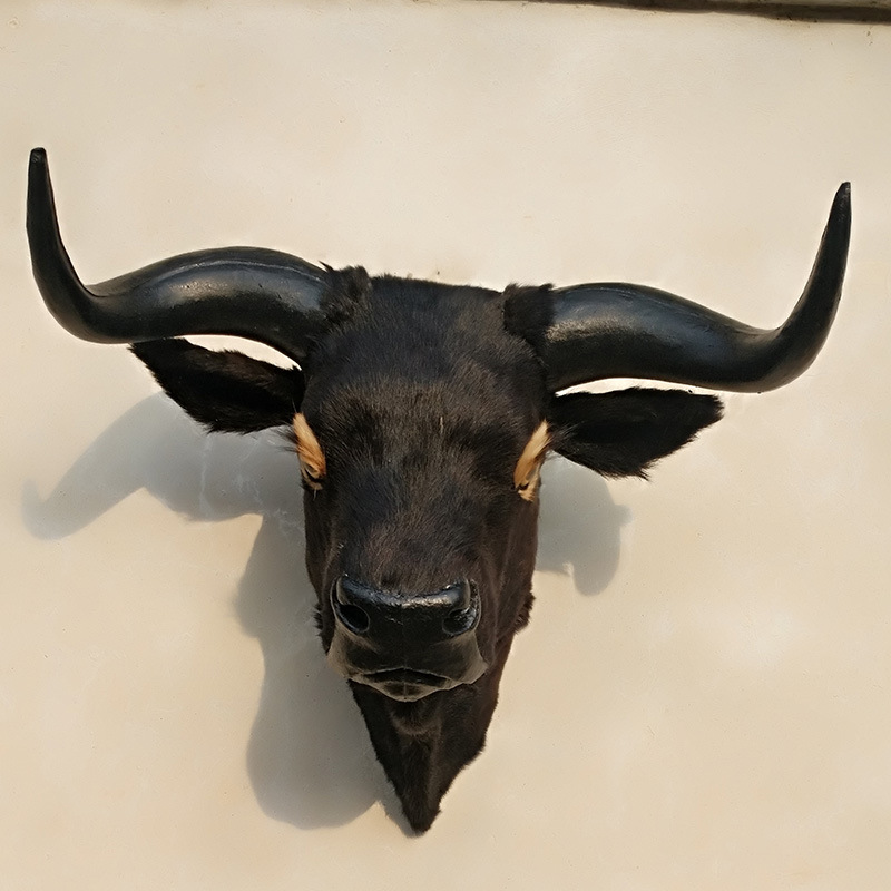仿真牛头模型商场酒吧装饰真皮毛动物黄牛黑牛头工艺品标本挂件