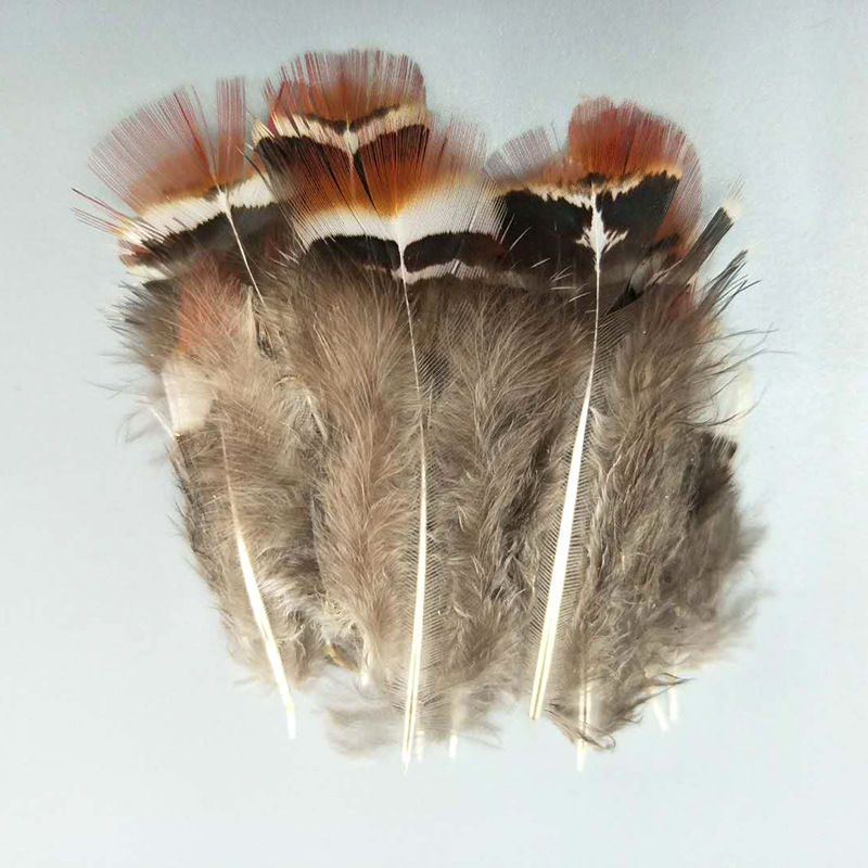 厂家直销珍珠鸡毛彩色羽毛 服装diy手工工艺品饰品耳环材料野鸡毛