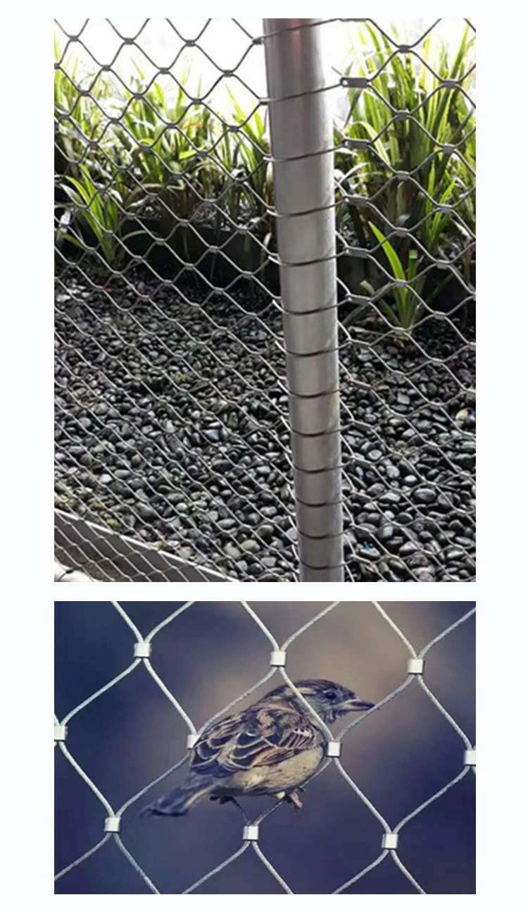 动物园防护网 卡扣网 304不锈钢网防鸟网_商城_四川冀安鸿运金属制品