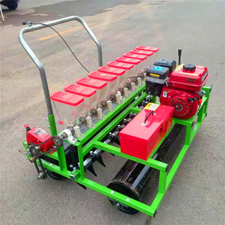 轻便手推白菜播种机 小型蔬菜精播机 蔬菜精密播种机厂家