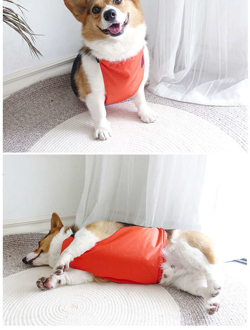 狗狗肚兜柯基法斗防水防着凉夏秋季薄款衣服宠物小型犬护肚子搞笑