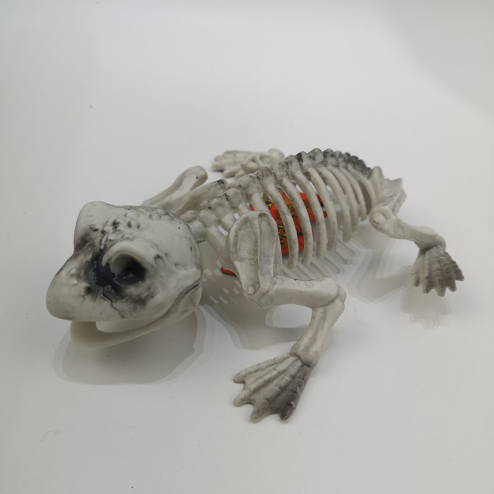 新款万圣节整蛊道具青蛙骨架场地道具恶搞愚人青蛙骨架动物骨架