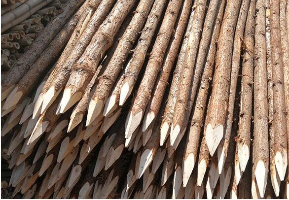 工地打桩圆木桩 木橛子 河道工程松木桩 防洪松木桩直销 厂家批发