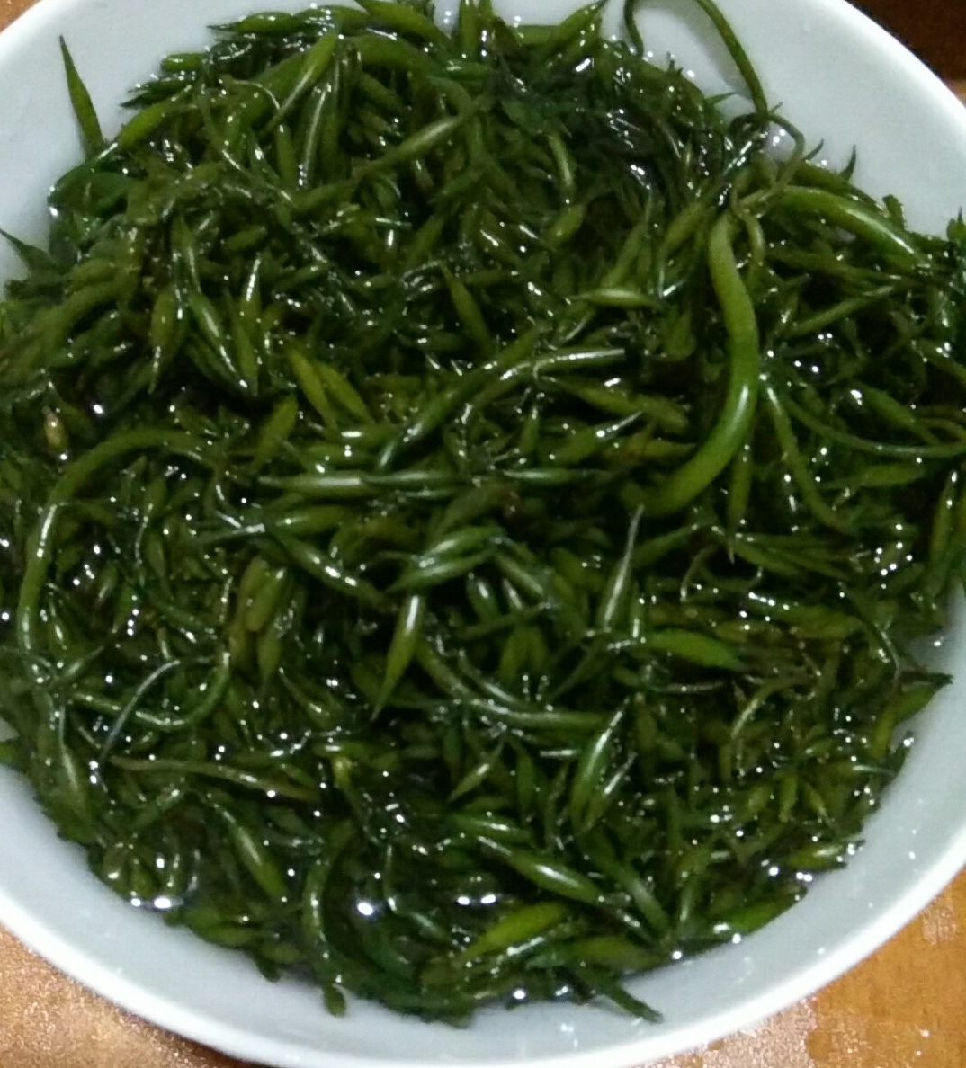 绿色海藻 羊栖菜 长寿菜 新鲜鹿角菜海带 昆布 马尾藻5斤包邮